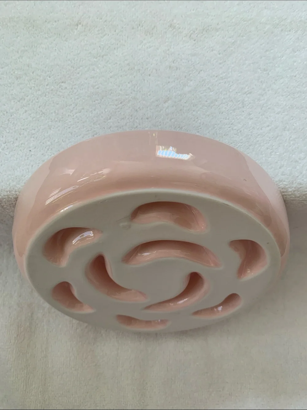 Pet Slow Feeder Bowl